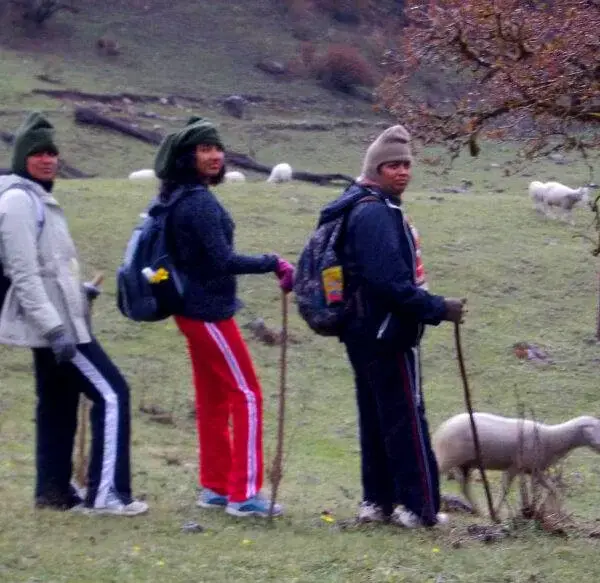 Dayara Bugyal Trek — photo 2
