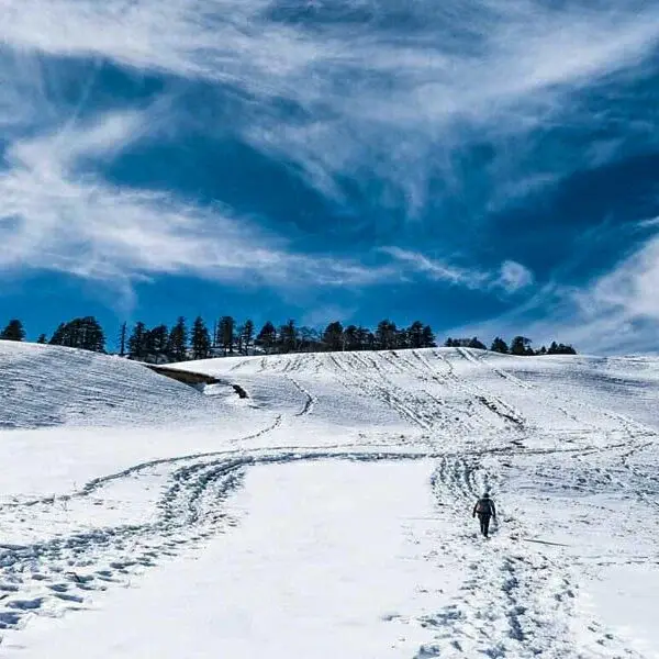 Dayara Bugyal Trek — photo 3