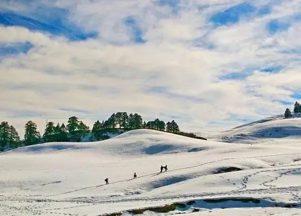 Dayara Bugyal Trek — photo 4